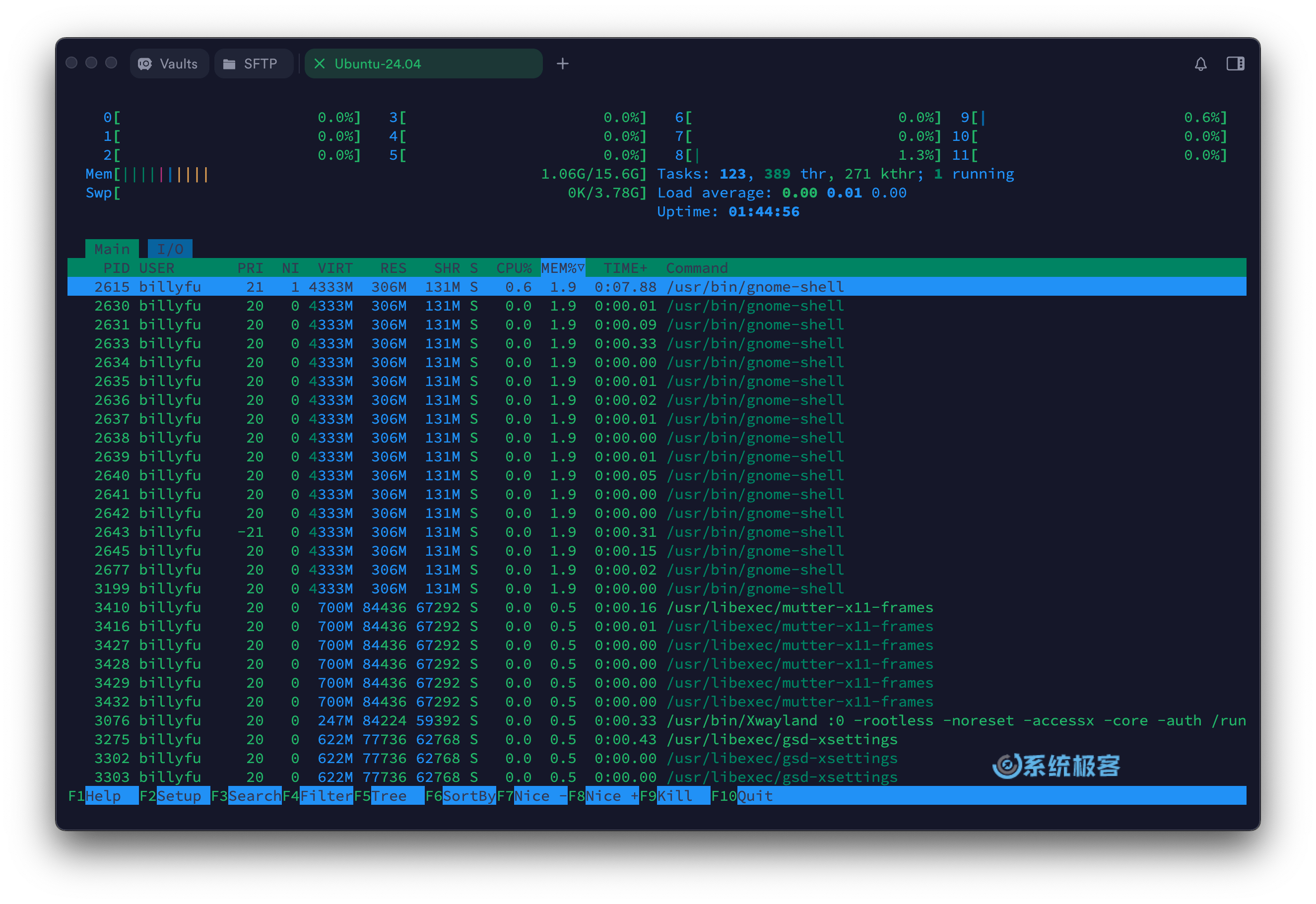 htop 命令