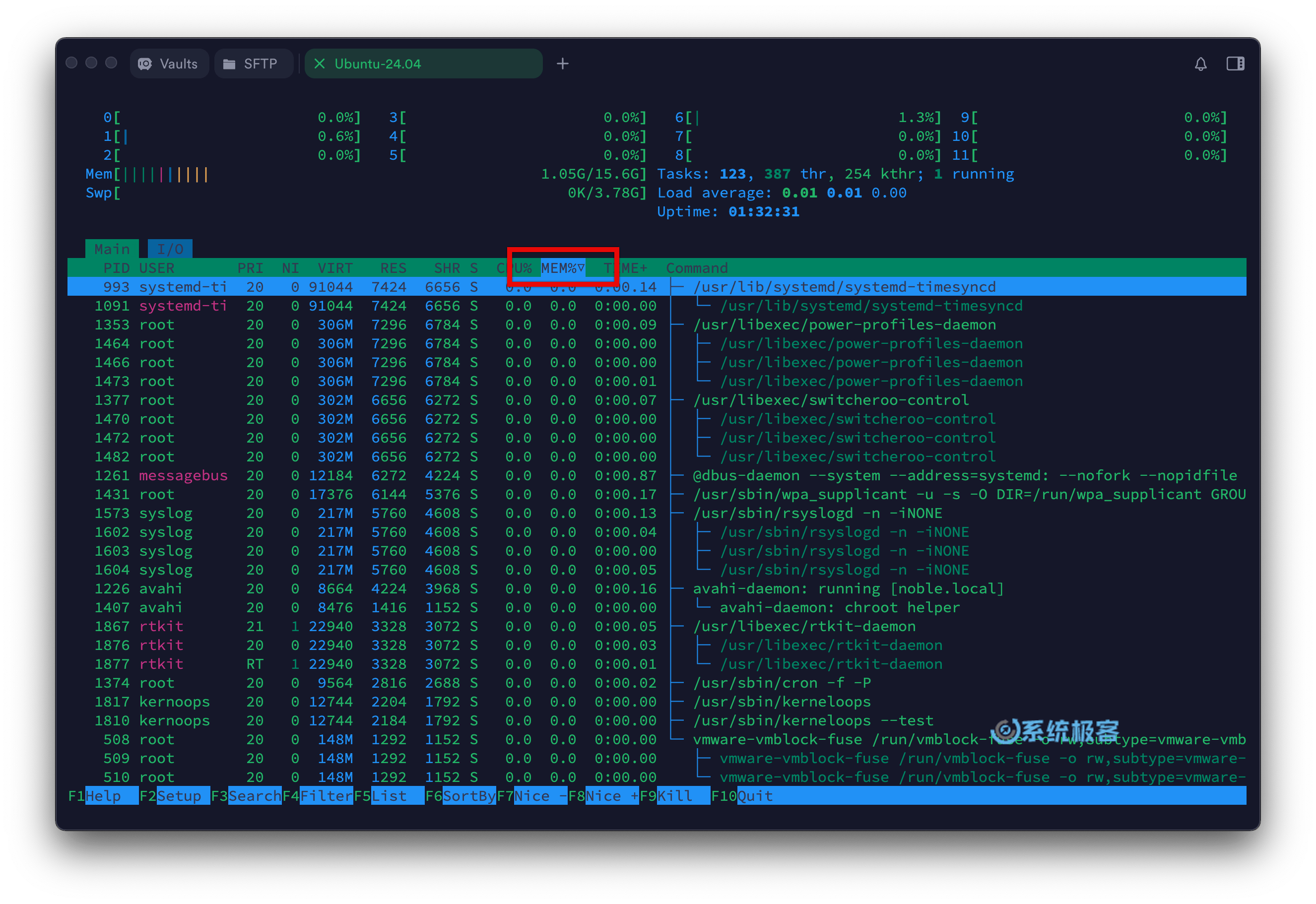 htop 命令：对进程进行排序