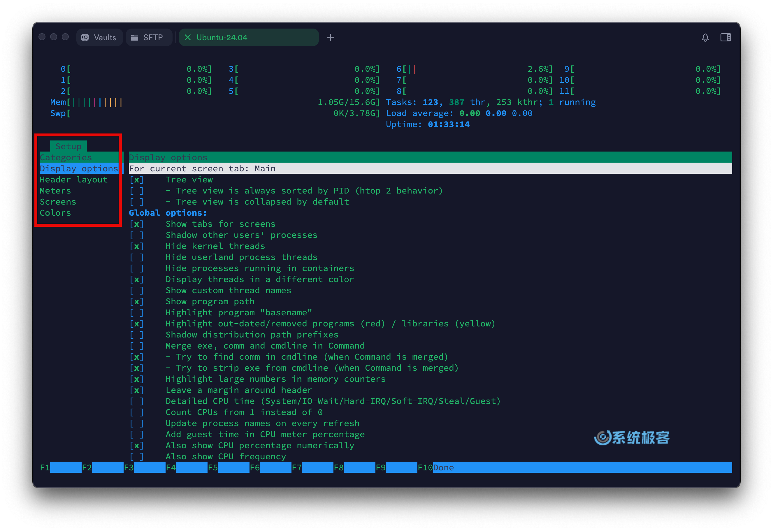 htop 命令：自定义显示选项